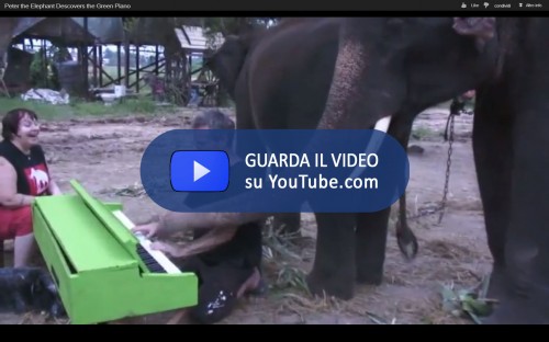 Elefante_Pianista