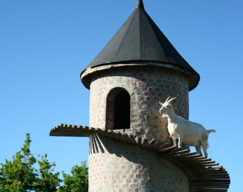 GoatTower00JPG