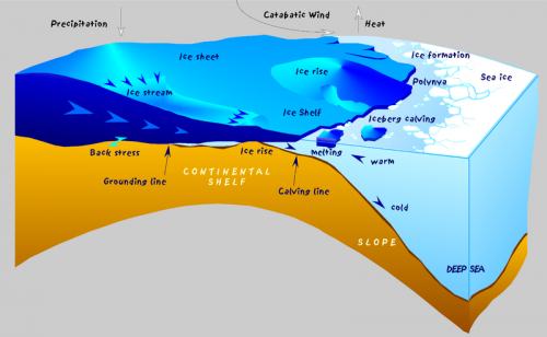 polynya