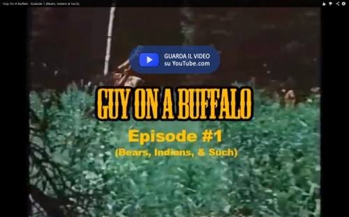Buffalo 2