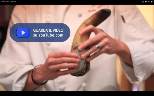 Geoduck