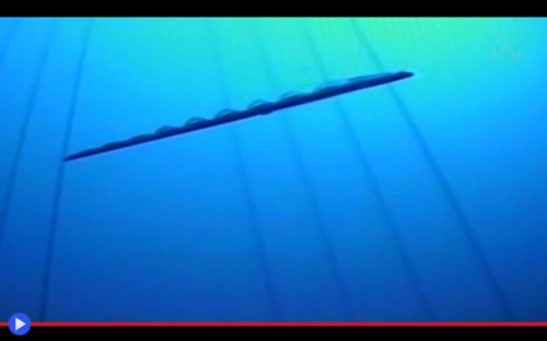 Oarfish 2