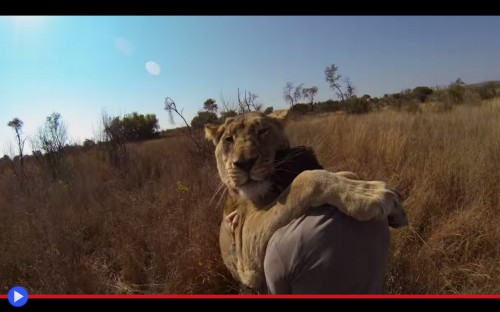 Kevin Richardson Go Pro