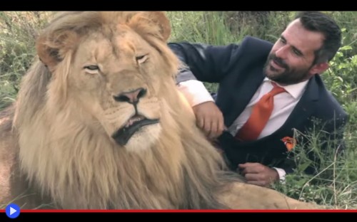 Kevin Richardson Van Gils