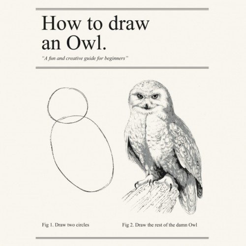 Draw an Owl