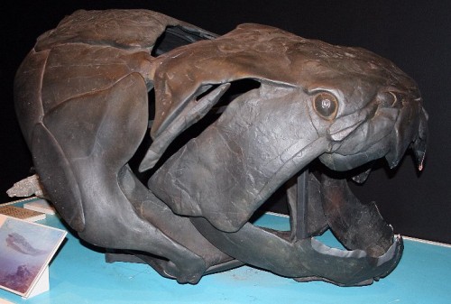 Dunkleosteus