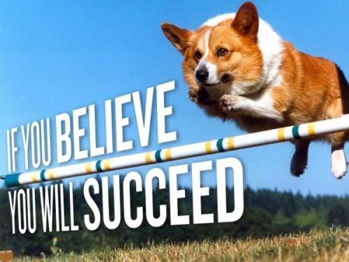 Corgi Motivational