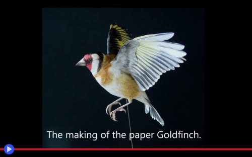 Paper Goldfinch