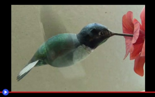Paper Hummingbird