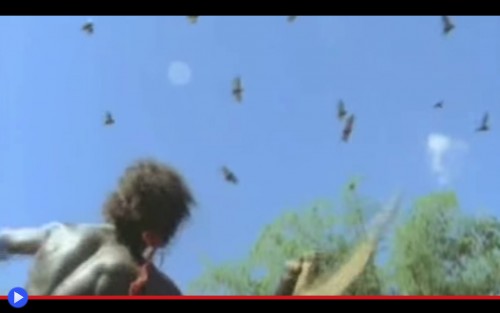 Aborigeno boomerang