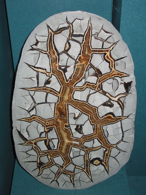 Septarian Nodule