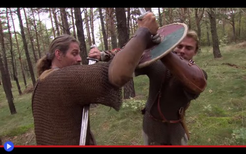 Viking Fight