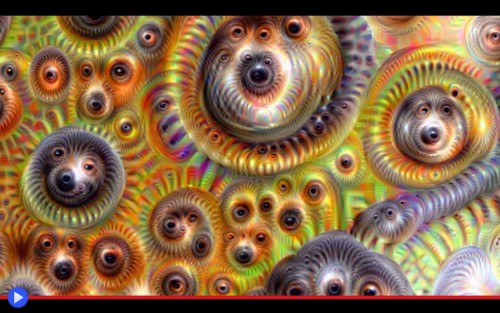 Deep Dream Zoom