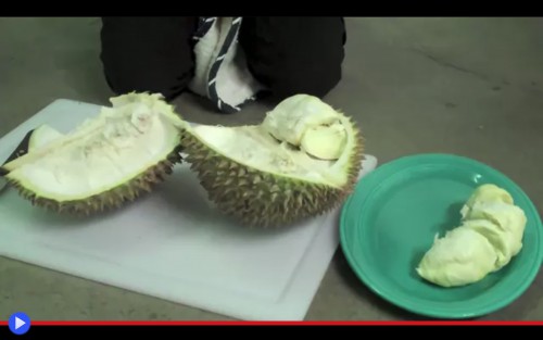 Cut the Durian