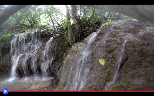 Salalah Khareef