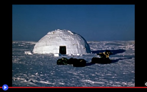 Igloo build