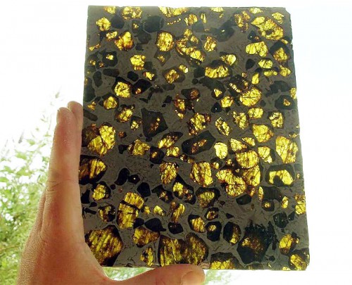 Pallasite