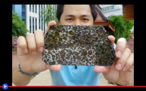 Pallasite V