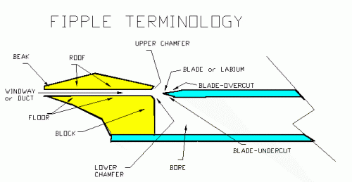 fipple