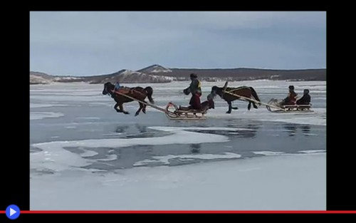 Mongolian Horse Sledge Race