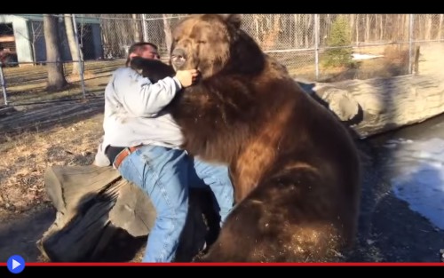 Russian Bear Hug