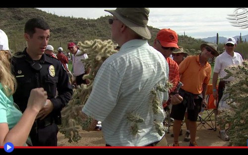 Golf Course Cholla