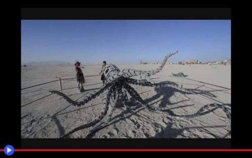 Mechateuthis Burning Man