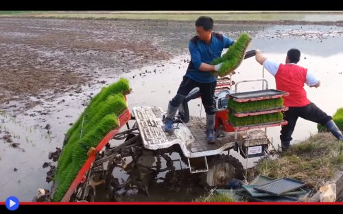 Rice Paddy Machine