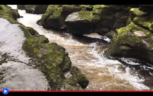 The Strid