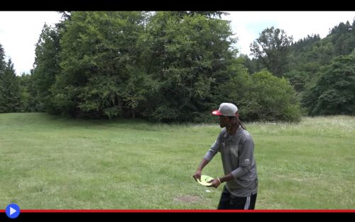 Disc Golf Albatross