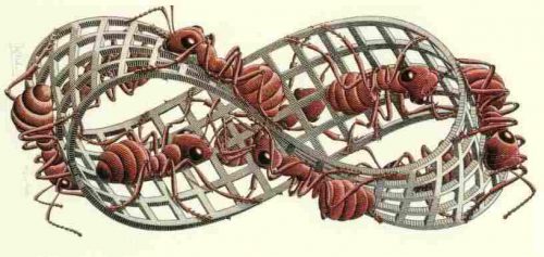 Escher Ants