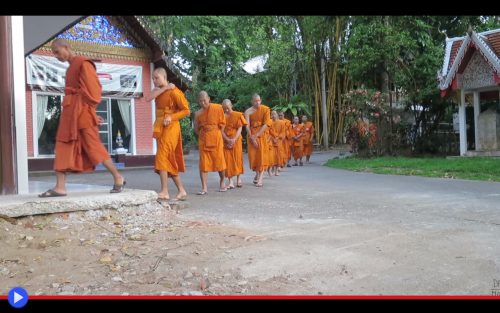 Living with the Monks