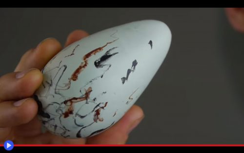 Guillemot egg