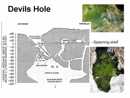Devil's Hole Map
