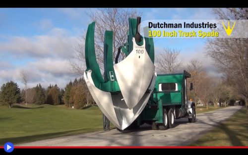 dutchman-tree-spade