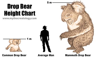 drop-bear-size