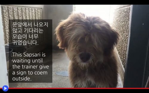 nero in Corea datazione